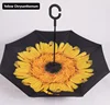 Yellow Chrysanthemum