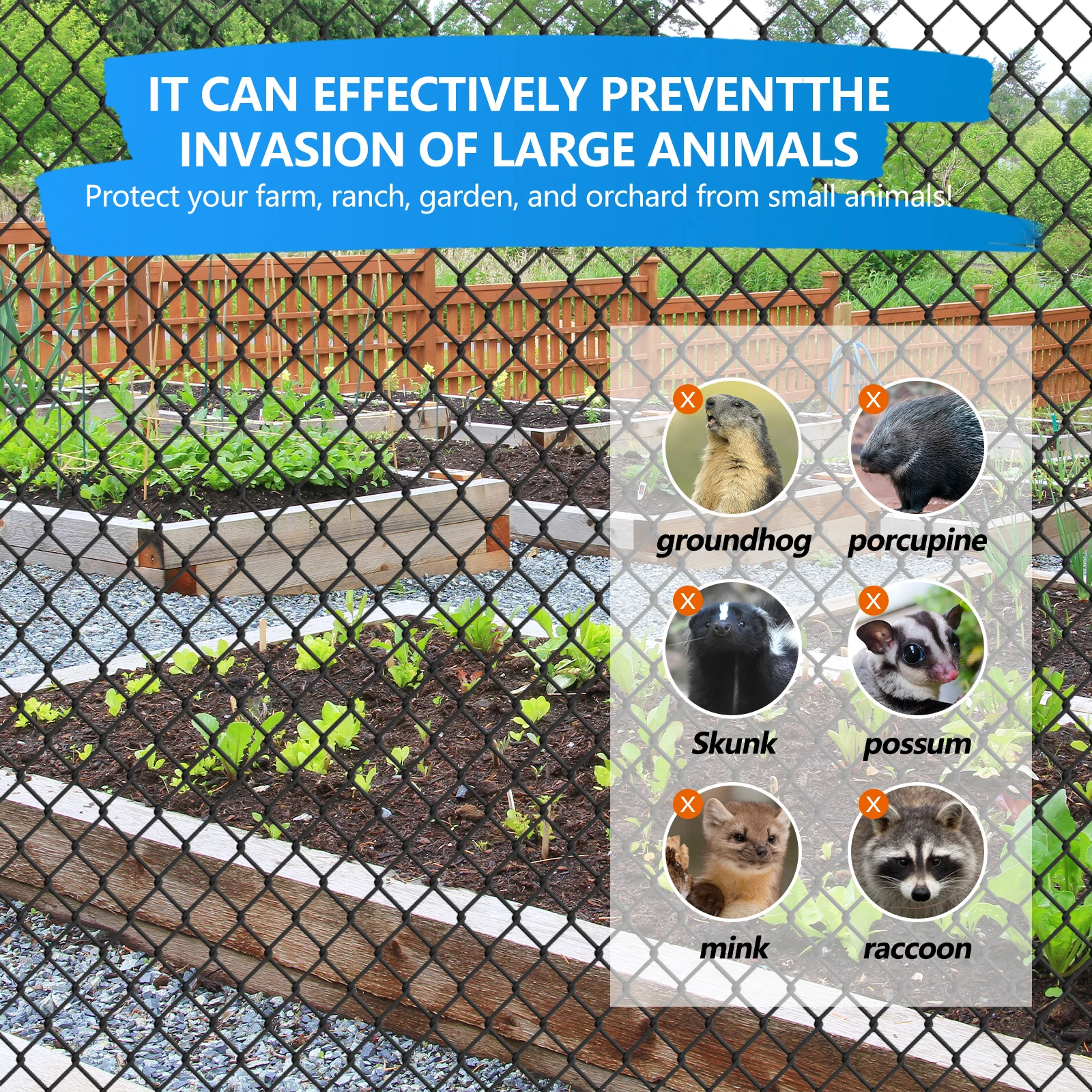 Black Vinyl Coated Chain Link Fence Fabric, 2in 6ft X 50ft Diamond Hole  Wire Fence Galvanized Fencing Wire Roll for Garden Farm