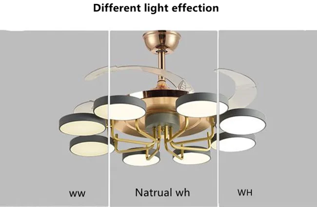 Indoor Decoration Bedroom Glass Cover 3 Pieces ABS Leaf LED Ceiling Fan Light