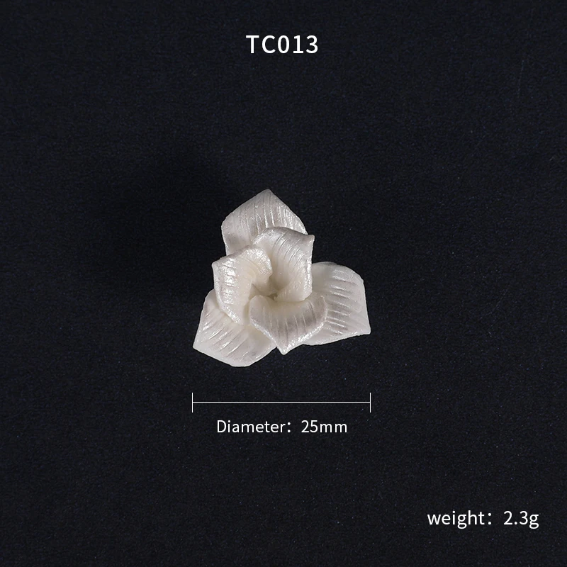 TC013.JPG