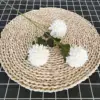 Chrysanthème blanc à trois têtes