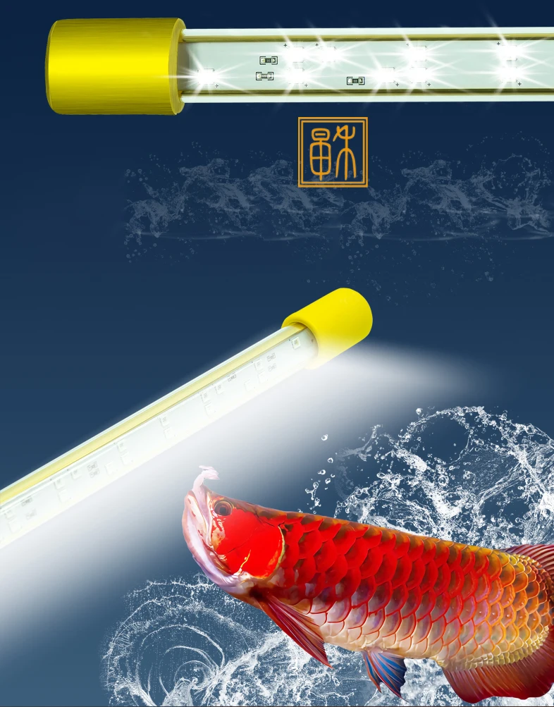 キ*ン様 Arowana Magical Light Series キ*ン様 Arowana Magical Light