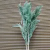 green 01