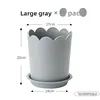 Gris (tamaño grande) + soporte base