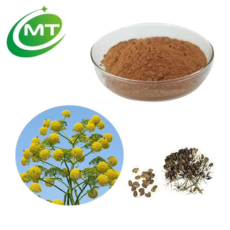 Pure Natural Ferula Communis Seed Extract 10:1 Ferula Communis Extract