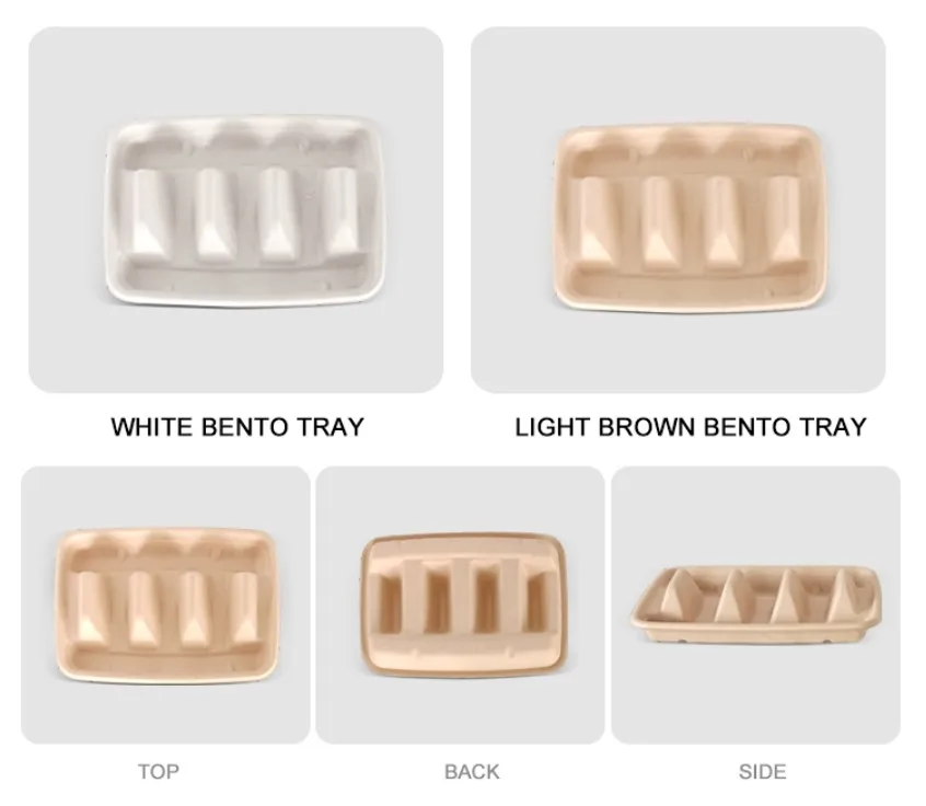 Customized Biodegradable Sugarcane Bagasse Pulp Packing Containers ...