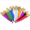 Elija colores