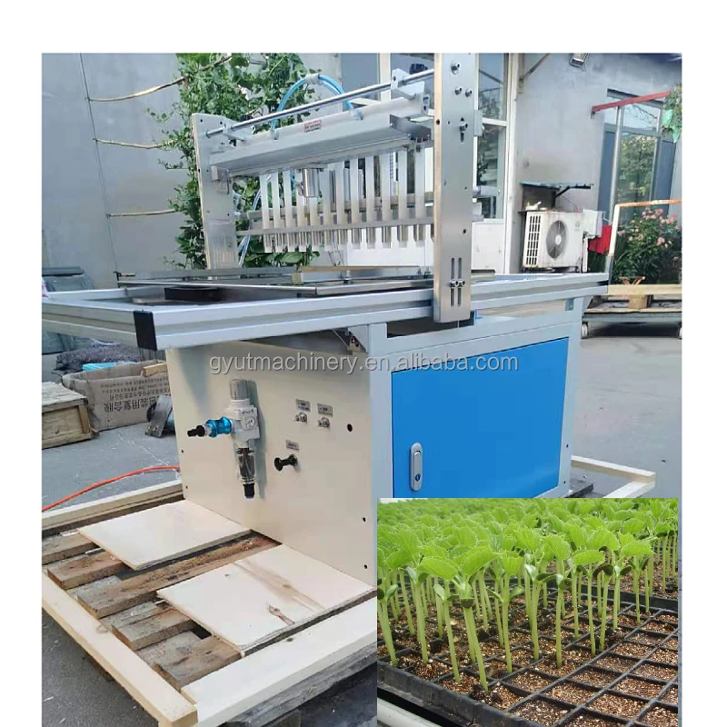 Row Seeder Tray Seeder Machine for Seedlings Seeds Pumpkin Watermelon Cucumber Tomatoes Onion