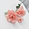 Rosa intenso