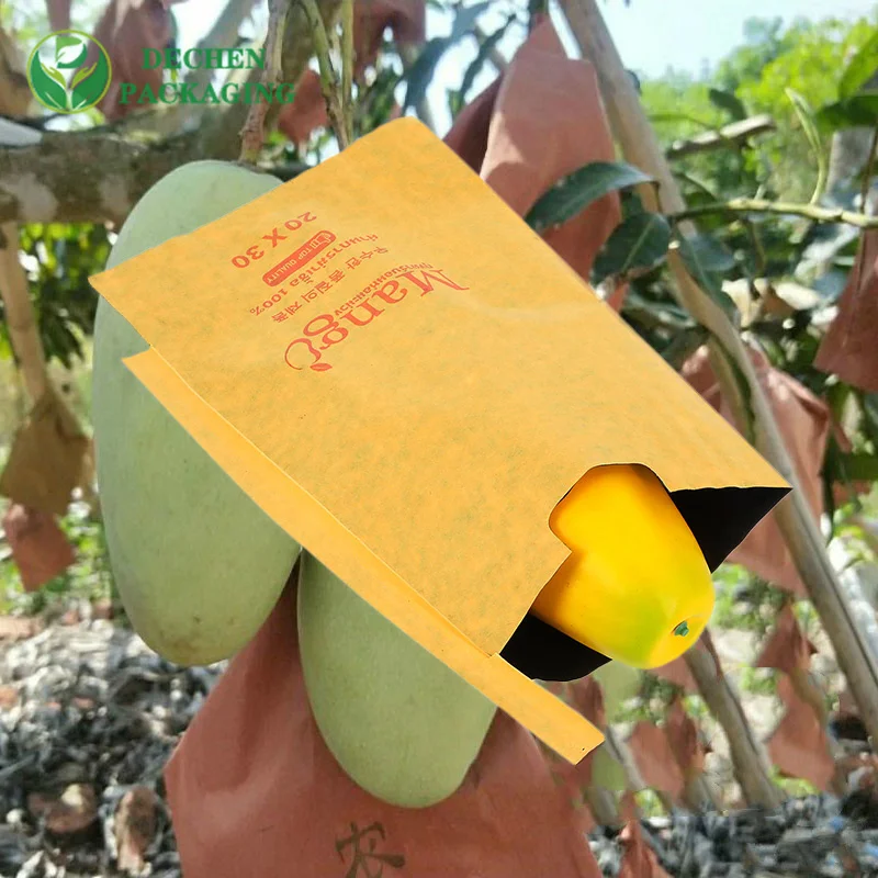 Bolsa de papel de embolsado de uva impermeable de fruta de dragón con estampado de logotipo