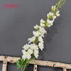 #1 white