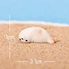 colorful Little seal