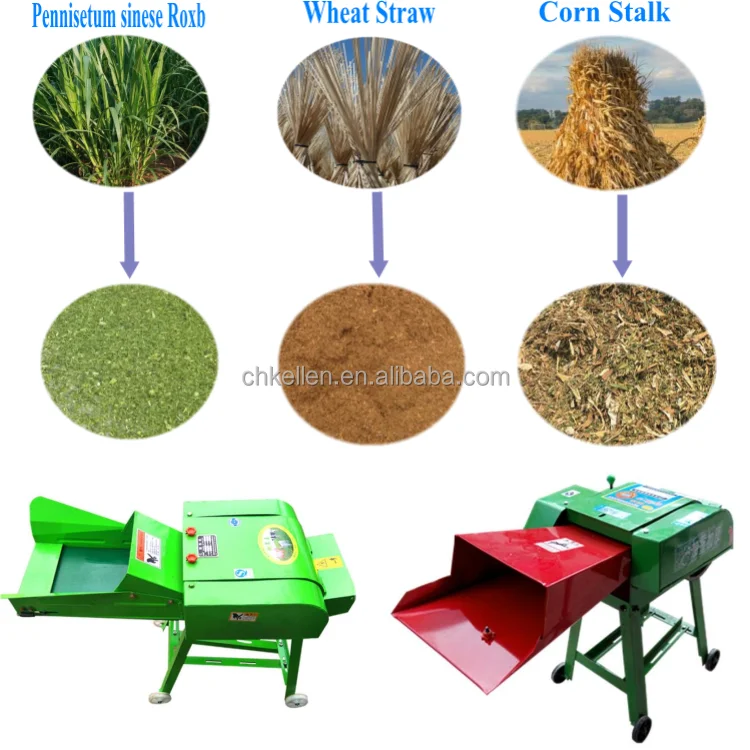 Grass Cutter For Sri Lanka Animal Straw Chopper Silage Cutter Feed