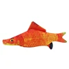 10. Carpe Crucian rouge