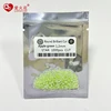 Apple Green