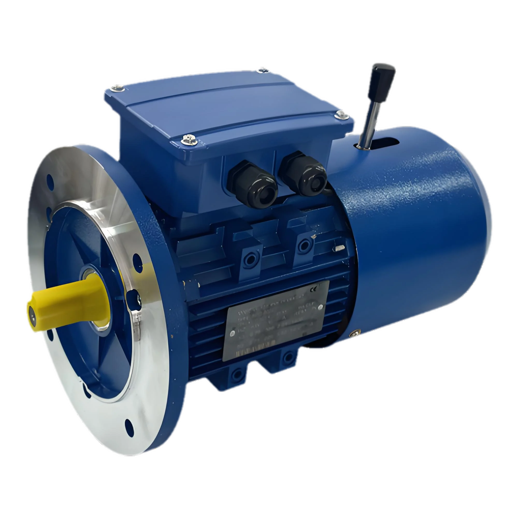 18.5KW Three Phase Direct Connected Brake Motor Transmission Gearbox Special