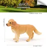 196Perro Golden Retriever