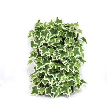 Wholesale Artificial Boxwood Green Hedge Topiary Ivy Fence Foliage Expandable Trellis for Garden Decor
