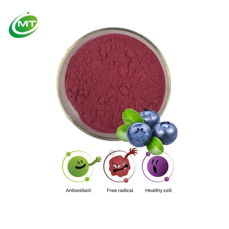 Natural Organic Blueberry Juice Powder Blueberry Fruit Powder 25 ...