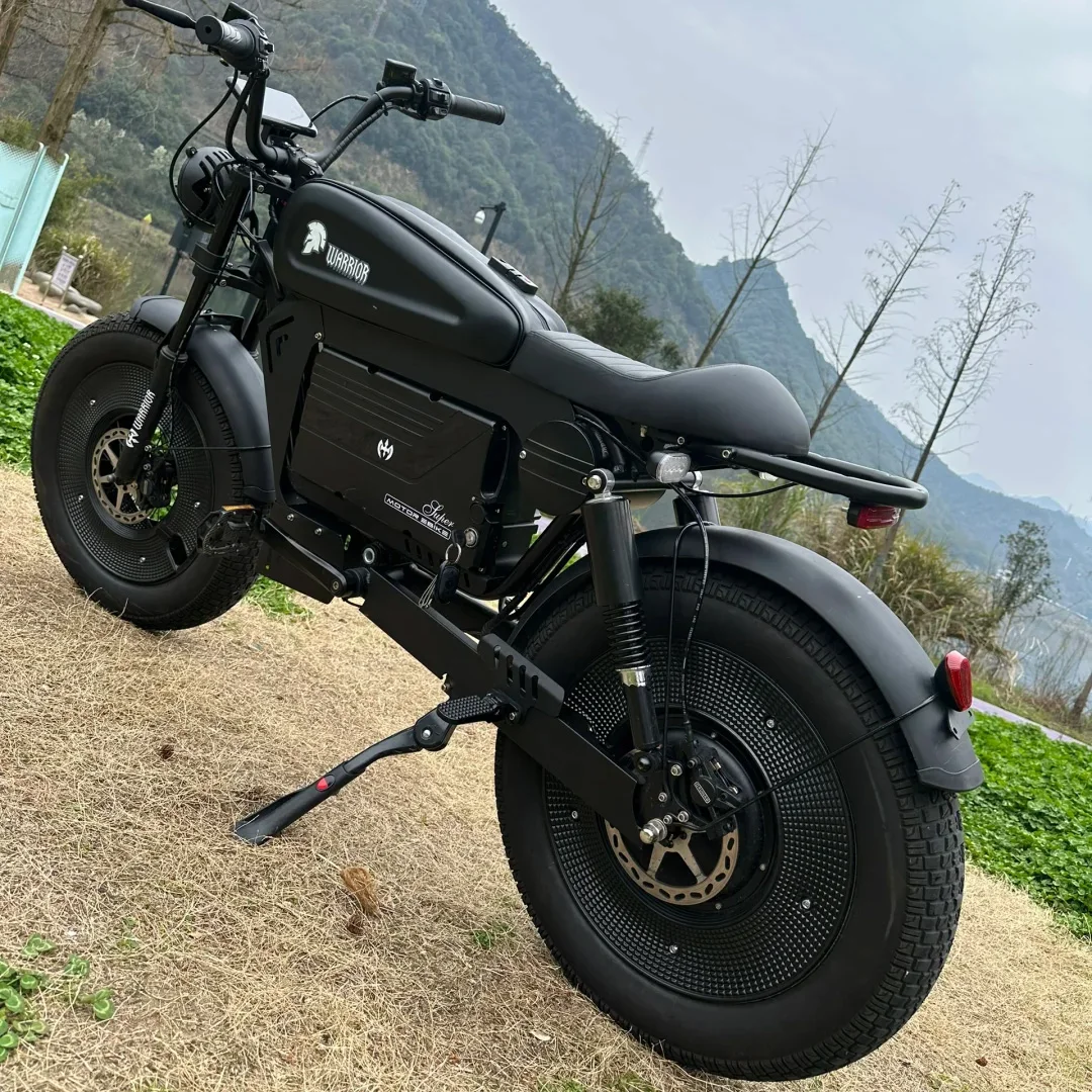 電動アシスト自転車 20インチx5.0 ファットタイヤ 電動自転車 1500W