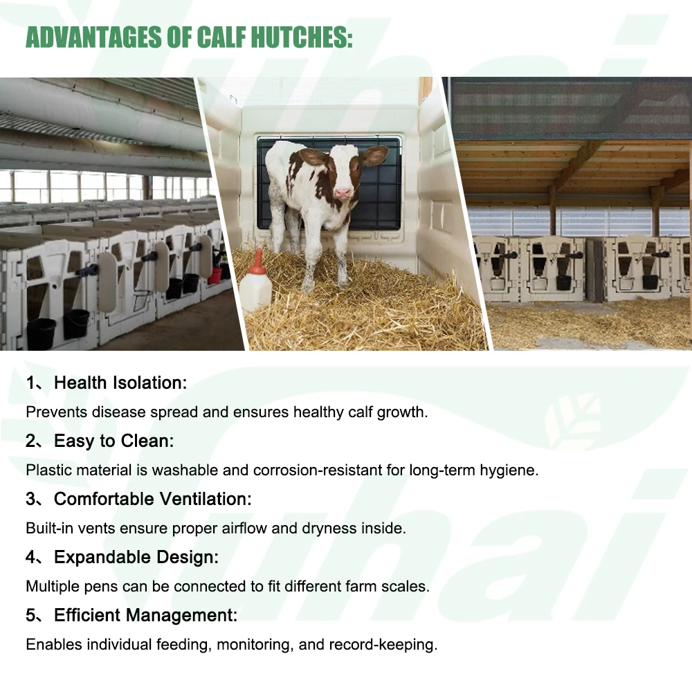 product durable roto molded round calf hutch housing for small animals modular plastic calf pen system for dairy farm calf rearing-1