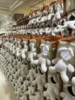 Medium white doll