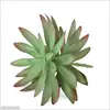 Green-2