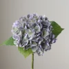 Violet Green