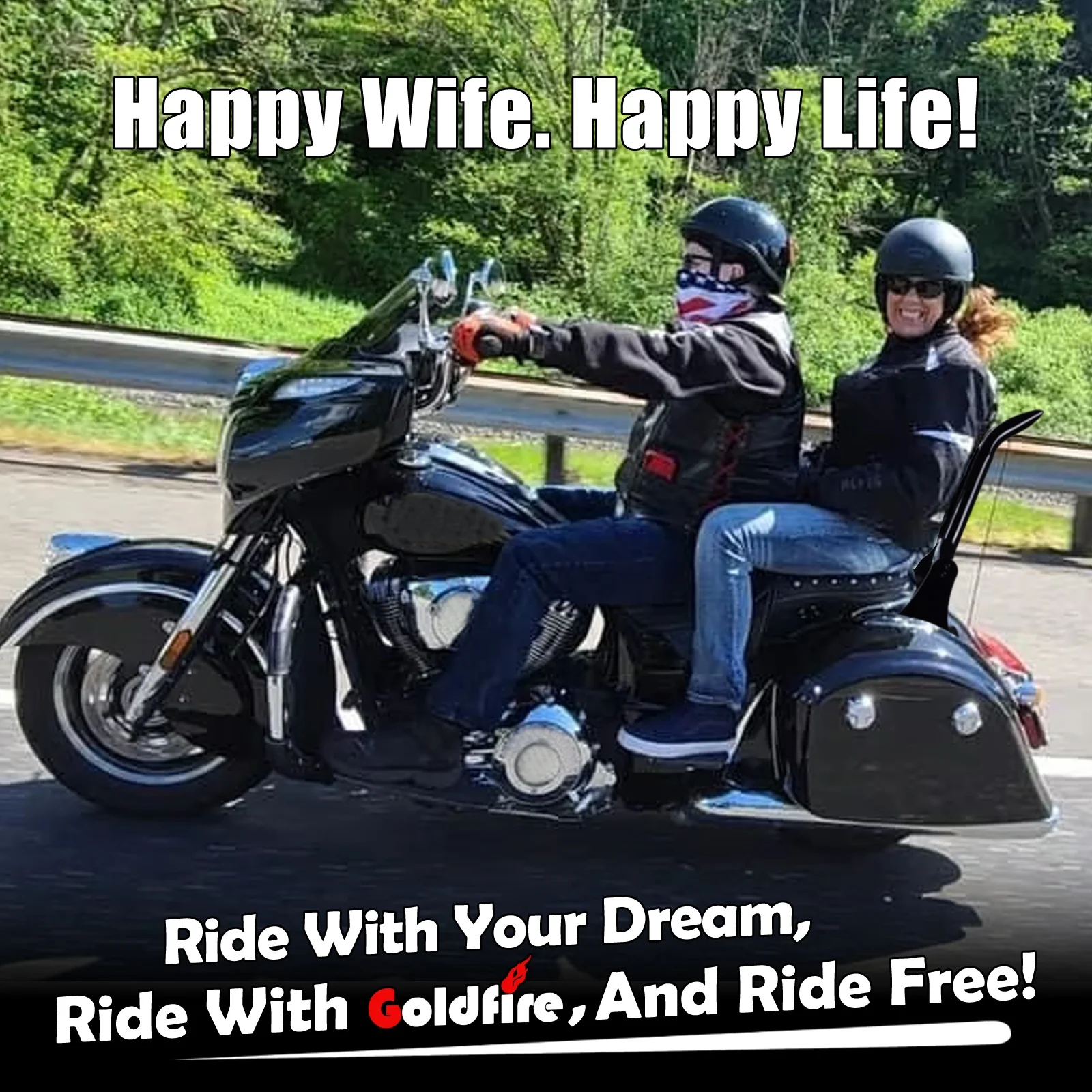 Black Detachable Rear Passenger Backrest Sissy Bar Harley - France