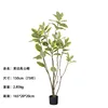 Ficus altissima à bords jaunes (75 feuilles) 150cm