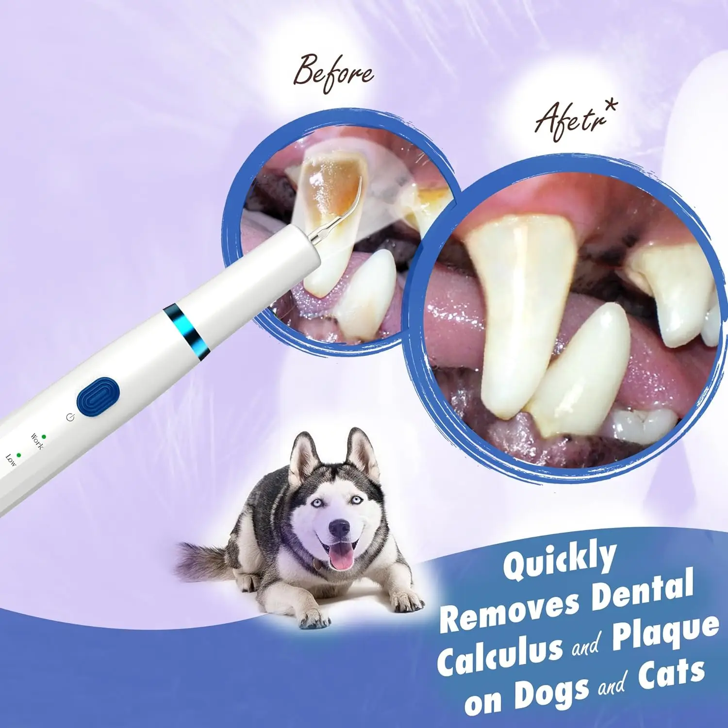 Professional Tartar Remover Ultrasonic Teeth Cleaning Device for Pets