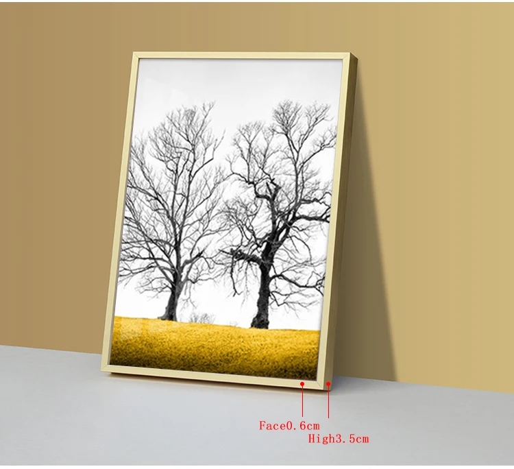 Custom Size Manufactory Simple Classic Modern Poster Frame Aluminum