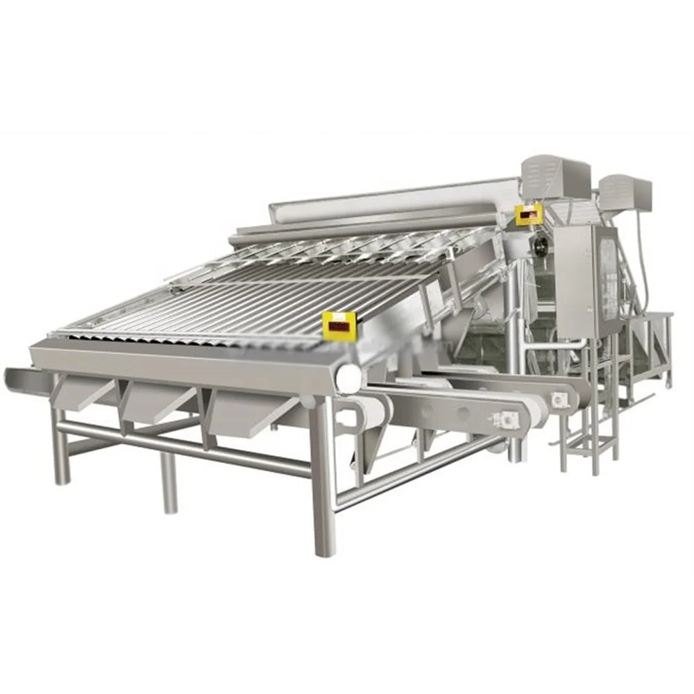 High Accuracy Automatic Fresh Fish Prawn 12 Roller/18 Roller Sorter Machine Shrimp Size Grading Machine