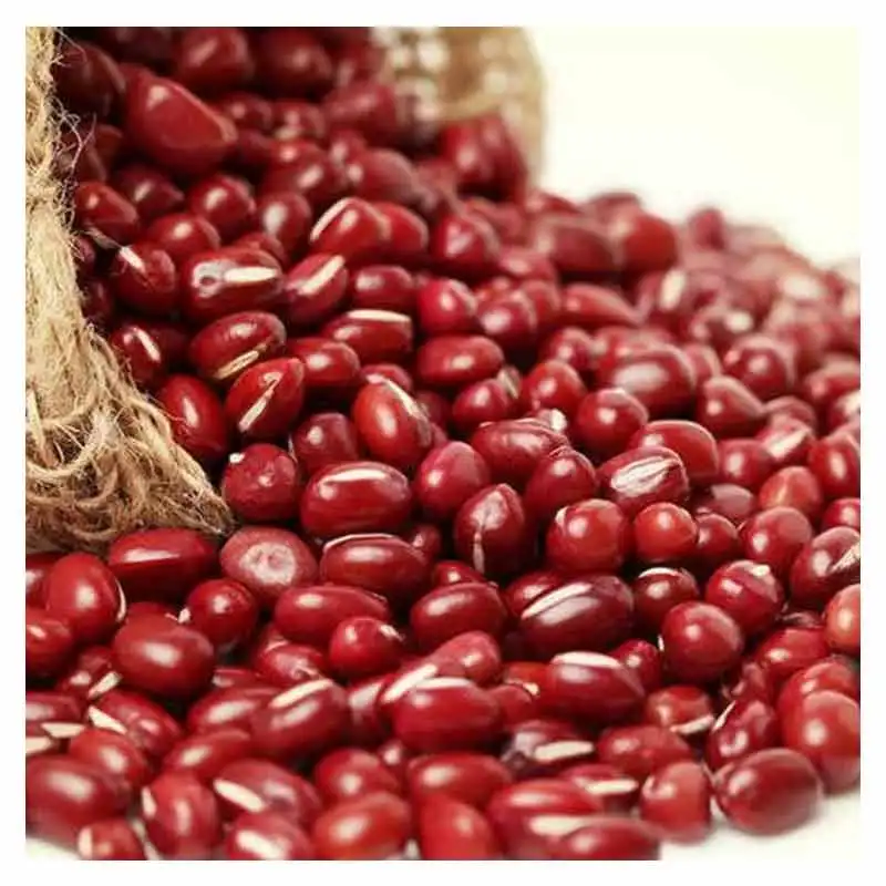 Cheap Red Cowpea Bean Red Vigna Bean Export Grade Small Red Beans for Sale