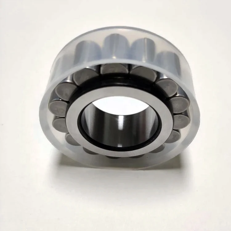 Rsl Full Complement Cylindrical Roller Bearings Without Out Ring Rsl18 2206 Axl Rsl182206 Buy