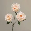 Nouveau Diamant Rose-Champagne-66cm