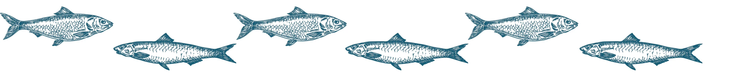 Common Carp Pituitary Gland Extract for Fish Breeding