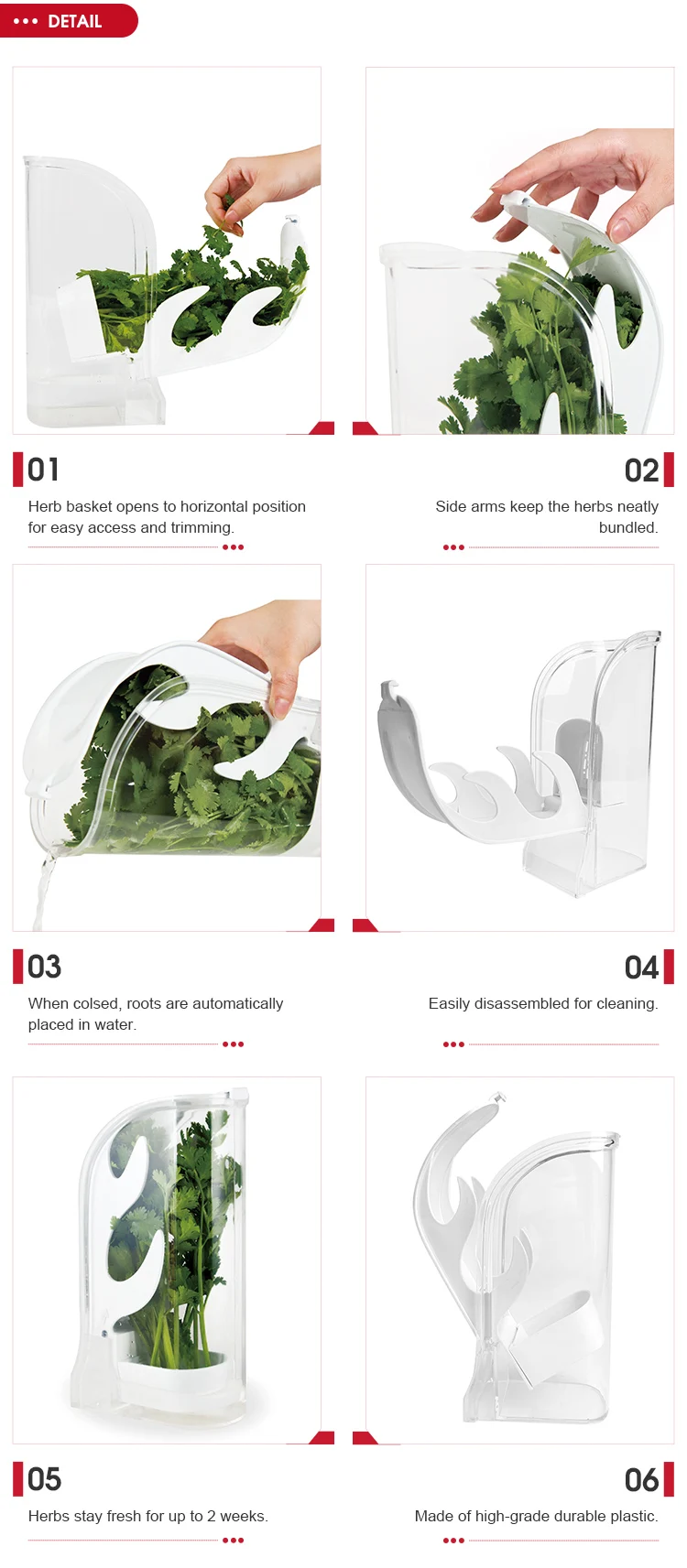 Herb Saver Best Keeper For Freshest Produce Transparent Plastic Herb