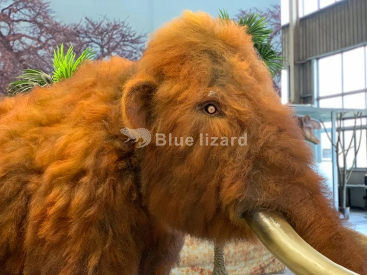 Indoor Animal Museum Super Realistic Prehistoric Animatronic Mammoth ...