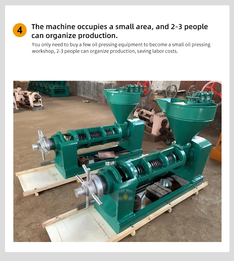 Nigeria Automatic Mustard Tiger Nut Oil Extraction Baobab Seeds Oil