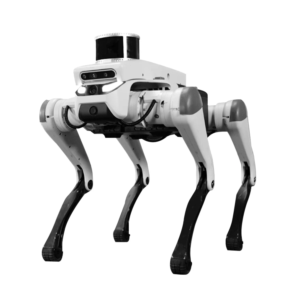 High-Performance Lite 3 Quadruped Robot Dog for STEM Education and Robotics Research