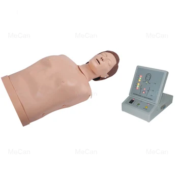 Medical Education Model Half Body Manikin For CPR Training