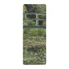 lotus flowers in the pond