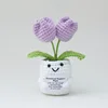Polvo de flor doble de tulipán