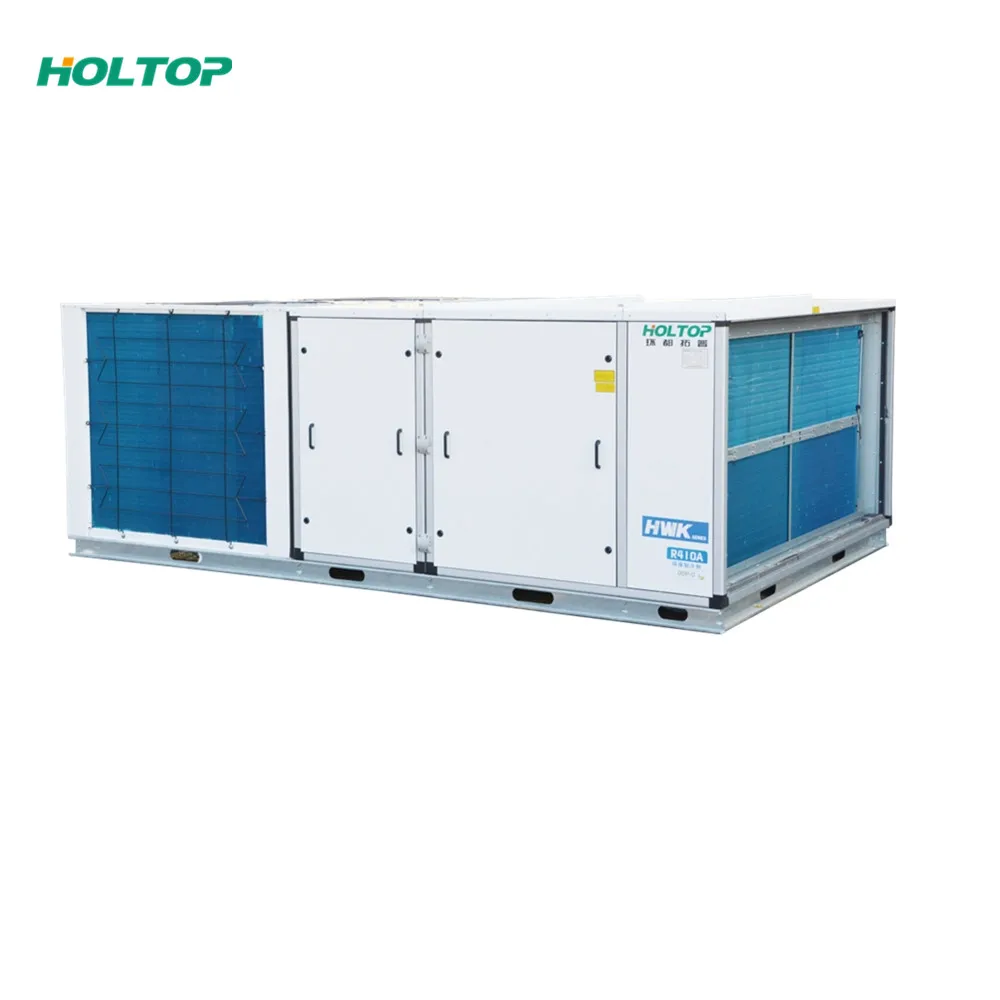 Rooftop Multifunctional Ceiling Type HVAC Air Handling Unit AHU
