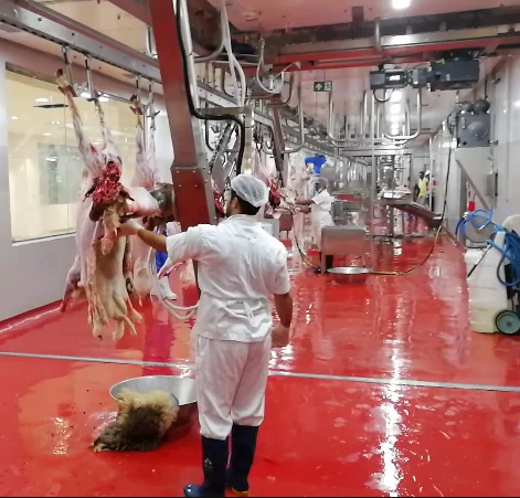 Sheep Butcher Customized Lamb Slaughterhouse Craftsmanship