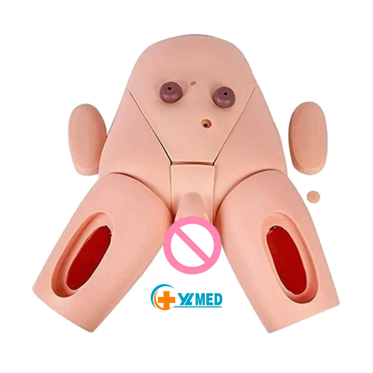 Advanced High Quality Human Nursing Training Male Urinary Genitalia and Urethral Catheterization Enama Medical Model