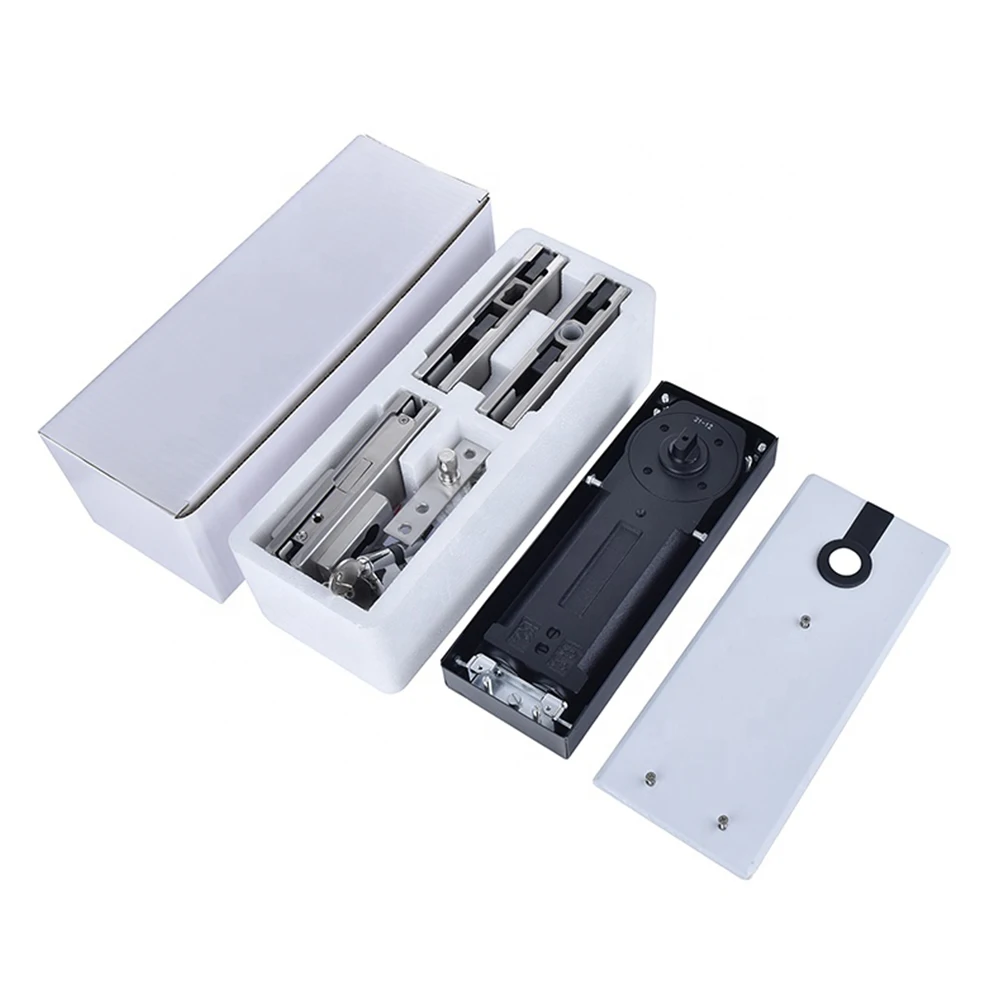 Hydraulic Hinges Double Action Spring for Glass Door Floor Hinge