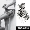 TBS-8218