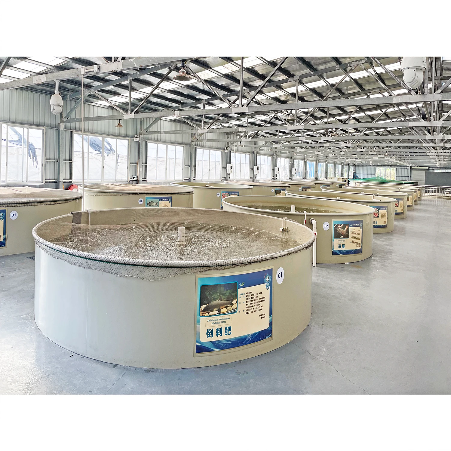 Industrial Ras Aquaculture Farming Fish Farming Machine Tilapia Recirculating Aquaculture System Pisciculture Equipment
